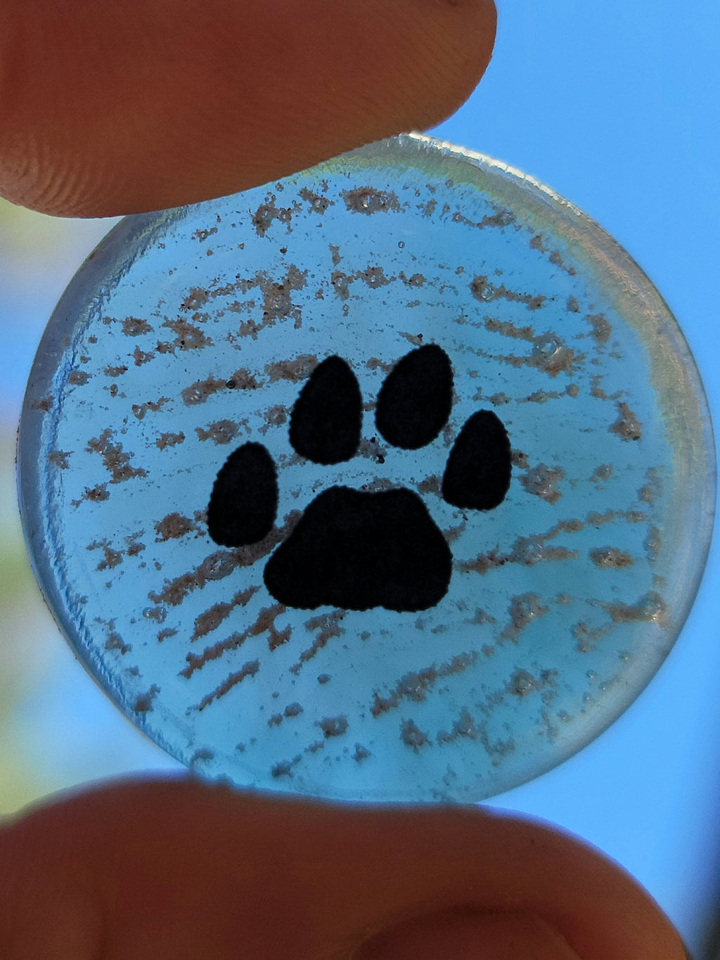 Paw Print Cremation Memory Stones 4 (set) Ashes InFused Glass 1 inch pocket stones in Velvet Bag